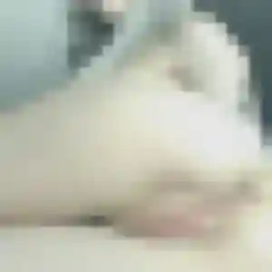 Ketsia (26 ans) à Tourriers cherche un plan cul maintenant