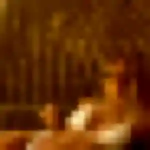 Photo privée de Emilie, 27 ans à Tourville-la-Rivière - rencontre coquine