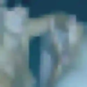 Charmante Bernadette, 33 ans à Traenheim - voir sa photo