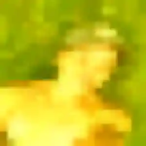 Photo exclusive de Mabinty, 31 ans à Tréguidel - rencontre coquine