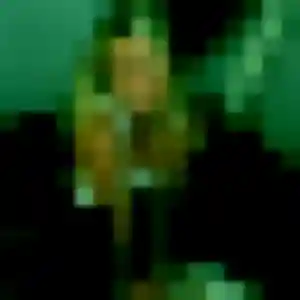 Photo de Rokhaya à Troissy (34 ans) - plan cul anonyme