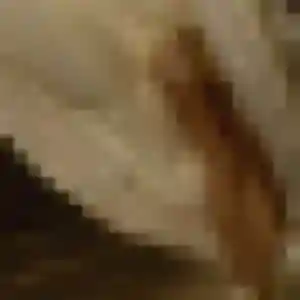 Precious, 36 ans, connectée à Trouville-sur-Mer pour un plan cul
