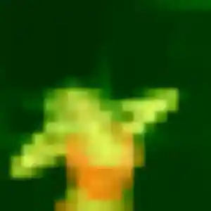 Shérazade, femme de 32 ans cherche plan cul à Truchtersheim