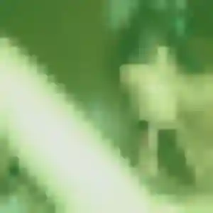 Photo de Bola à Vagney (38 ans) - plan cul anonyme