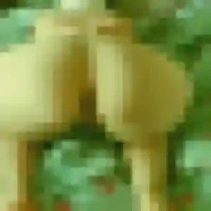 Photo exclusive de Dieynaba, 39 ans à Vaiges - rencontre coquine