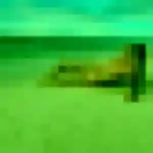 Sexy Capucine, 27 ans à Vailly - découvrir son profil
