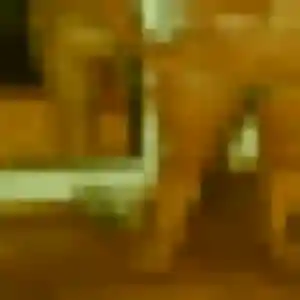 Léonie, 43 ans, en ligne à Valence pour une rencontre coquine