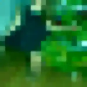 Photo de Jeanine à Valherbasse (45 ans) - plan cul anonyme