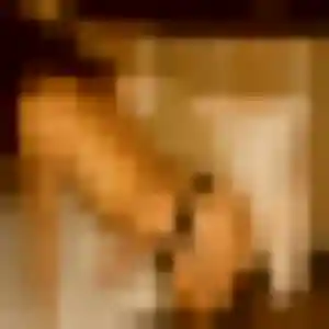 Photo privée de Abigail, 31 ans à Valloire - plan discret