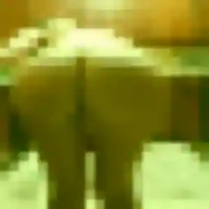 Héloïse, 32 ans, dispo pour plan cul à Varennes-sur-Allier