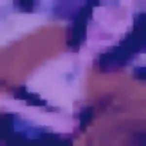 Shade, 45 ans, connectée à Velleron pour une rencontre coquine