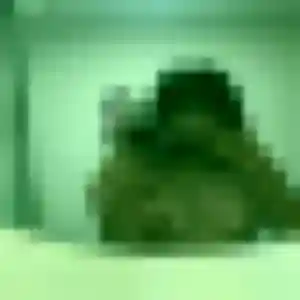 Photo sexy de Suzanne, 28 ans à Venansault - rencontre sans lendemain