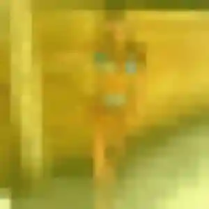 Photo sexy de Noémie, 36 ans à Vernet - rencontre sans lendemain