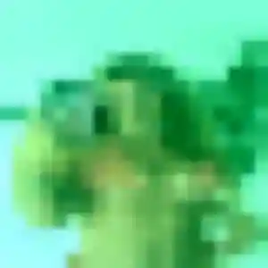 Photo de Nicole à Vert-le-Grand (30 ans) - plan cul anonyme