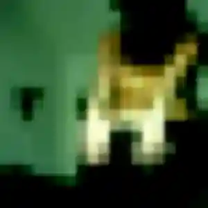Photo de Lucinda à Villecresnes (39 ans) - plan cul anonyme
