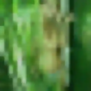 Safiatou, femme de 36 ans cherche plan cul à Villers-au-Tertre