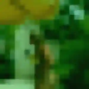 Zélie, 45 ans, dispo pour plan cul à Villers-au-Tertre