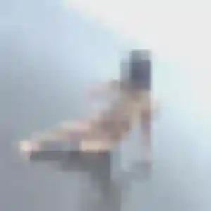 Rencontre Pauline, 31 ans à Virey-le-Grand gratuitement