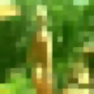 Profil de Tabitha à Viriville (41 ans) - plan cul discret
