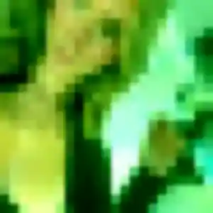 Photo de Gisèle à Vitrolles (28 ans) - plan cul anonyme