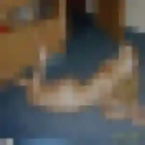 Sarjo, femme de 37 ans cherche plan cul à Vitry-sur-Seine