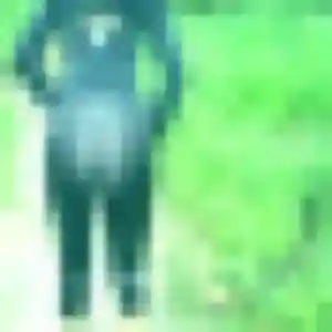 Profil de Chiamaka à Vouzan (39 ans) - plan cul sans inscription