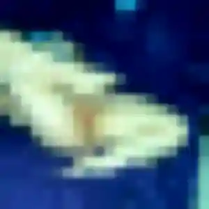 Rokia, 34 ans, connectée à Voyennes pour une rencontre coquine