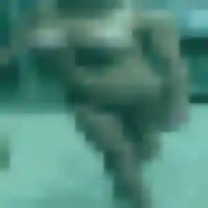 Découvre Nogaye, 36 ans à Vulaines-sur-Seine gratuitement