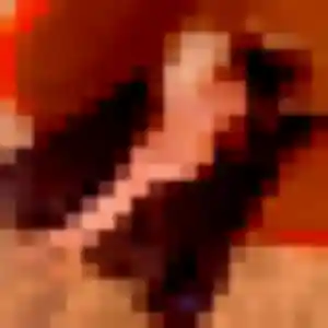 Photo de Yasmine à Woincourt (32 ans) - plan cul discret