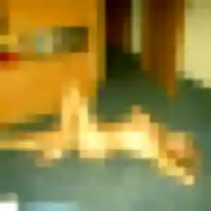 Viviane, 25 ans, dispo pour plan cul à Ygos-Saint-Saturnin